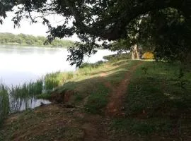 Rancho dos dourados