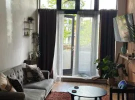Bright, Spacious, Newly Renovated Apartment