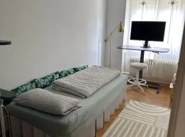 Private Room Basel - 8 min walk to Basel SBB station - Garden Access