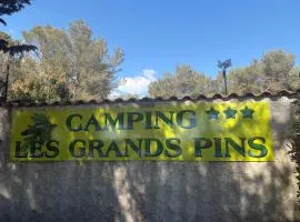 Camping les grands pins 3 étoiles