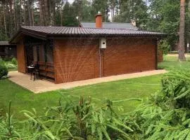 Domek do wynajęcia Ruś Mała