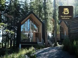 Älmele - Waldchalets Brandnertal