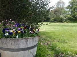 Padthaway Caravan Park