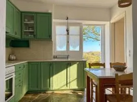Alice House Tinos