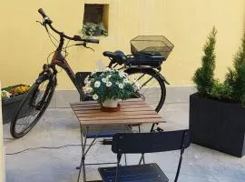 Civico46