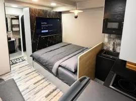 1BR SRV Studio Apartment - WYMA Retreat TERRA