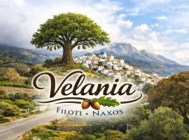 Velania House 2