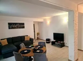 Ultracentral Apartment Rebeca Craiova