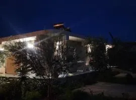 Rey Garden 2