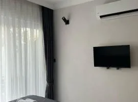 Lilia Homes