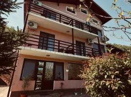 Casa Darian