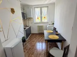 Apartament Iasmina 2
