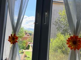 Apartament Iasmina 2, hotel u gradu Petrošani