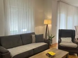 Family Apartman Telep Novi Sad - Yard & Free parking