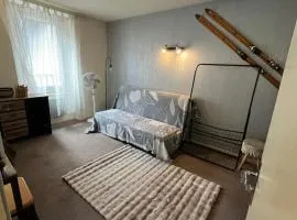 Superbe Logement Bord de rivière-Montagne-Ski-Randonée