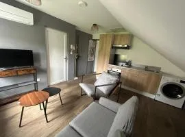 Appart entier 25 m2 Centre-Ville, Clim, Wifi