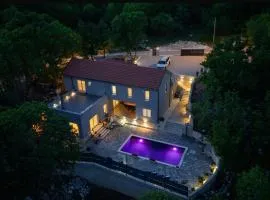 Luxury Villa Andrea Vrzika in forest near the sea with heated pool