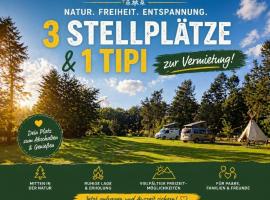 Camping Müritz Nationalpark - Wohnmobilstellplatz in der Mecklenburgischen Seenplatte Strom & Wasser vor Ort, hotell sihtkohas Carpin
