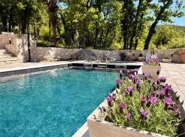 Luxury Villa Andrea Vrzika in forest near the sea with heated pool