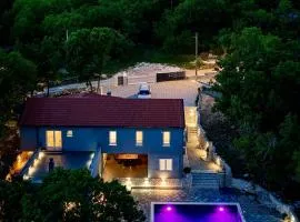 Luxury Villa Andrea Vrzika in forest near the sea with heated pool