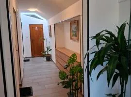Studio apartmani Atlantik
