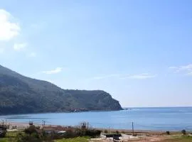 Maresa