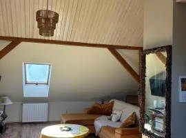 Apartament 2-pokojowy, z atrakcjami dla dzieci