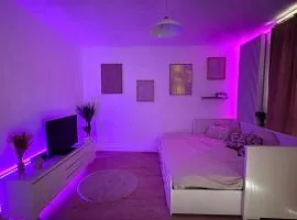 Large Studio Near Train station and Disney