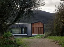 Casita Big Fish