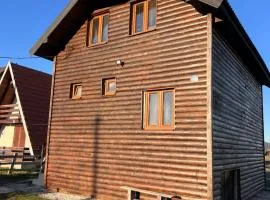 brown bear lodge