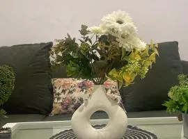استديو النرجس