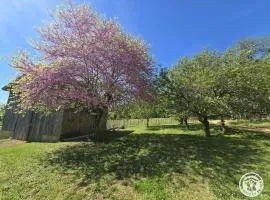 Maison tout confort avec parking, campagne - 4 pers. - FR-1-616-578