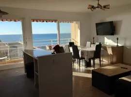 Appartement face à la plage