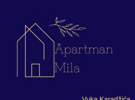 Apartman Mila Prnjavor, hotel i Prnjavor