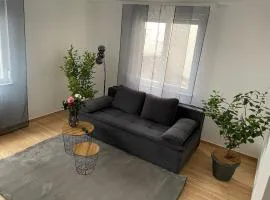 Apartment Hornberg- Zara