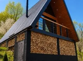 Приватна садиба Forest House