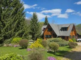 Casa Edelweiss - Gyopár - Flore de colt