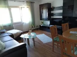 FeWo Schwarz, kleine Wohnung in Bühlertal