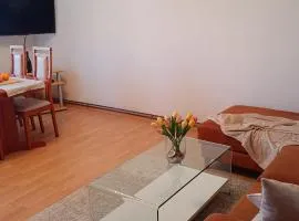 Apartman Petar Comfortable Apartment