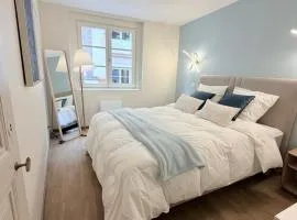 Le Gîte Azur - Charme d'un appartement dans une maison alsacienne - Hypercentre de Colmar