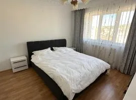 Perla Central Apartment