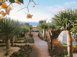 Agrocamping Invernaderito
