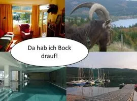 Seenest am Schluchsee