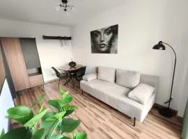 Piotrków Trybunalski Modern Apartment by BookingHost