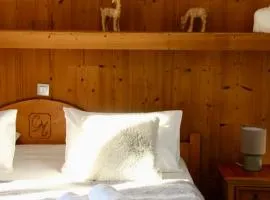 Chalet le Camigane