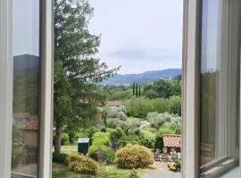 Domus Mazzoni