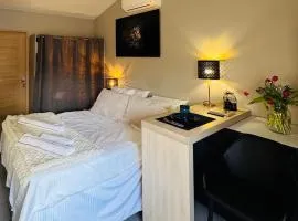Le Nid de Avignon Air-conditioned studio with private courtyard