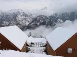 The Auli Meadows