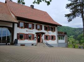 Hotel Landgasthof zum Pflug, hotel en Steinen