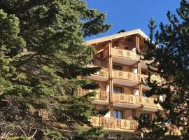 Chalet le Camigane